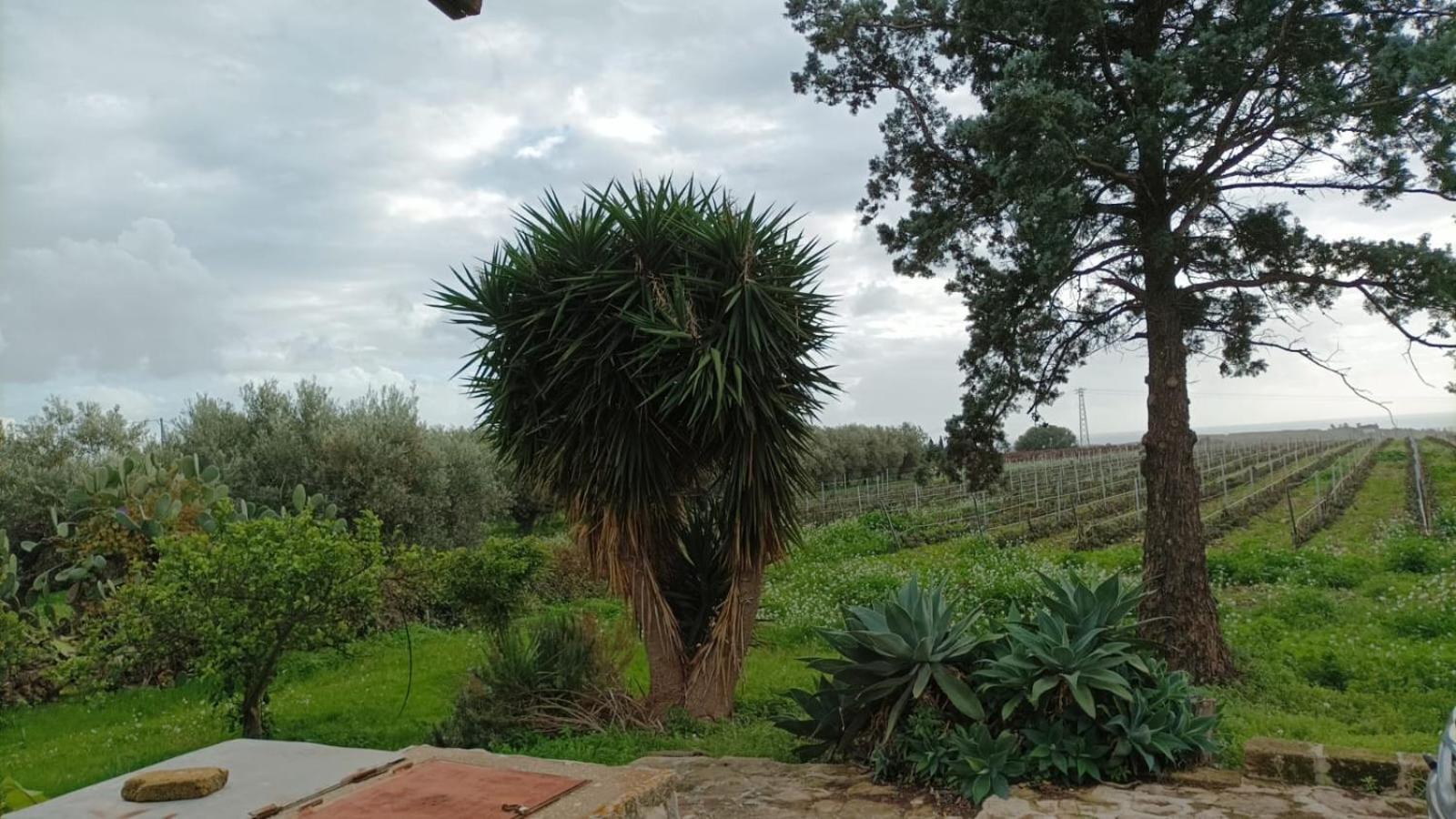 מנפי Casa Bouganville Villetta Tra Le Vigne E Il Mare מראה חיצוני תמונה