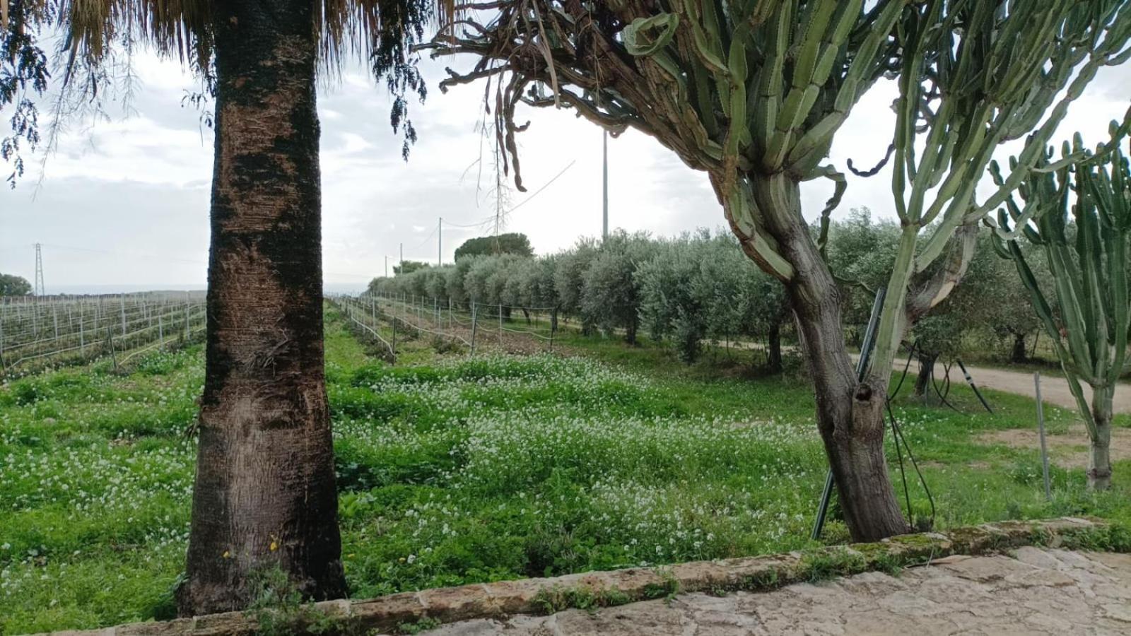 מנפי Casa Bouganville Villetta Tra Le Vigne E Il Mare מראה חיצוני תמונה