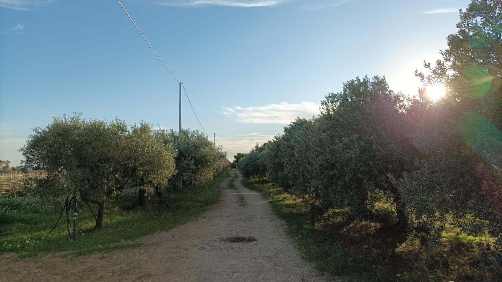 מנפי Casa Bouganville Villetta Tra Le Vigne E Il Mare מראה חיצוני תמונה